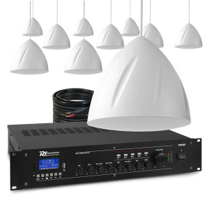 Zestaw białych głośników wiszących 10 x 5.25" PDS40W z wzmacniaczem