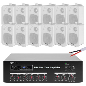 Zestaw białych głośników do muzyki w tle 12 x 4" BV40W 100V z wzmacniaczem bluetooth