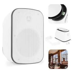 Głośnik 1szt BD50TW wewnętrzny / zewnętrzny do montażu na ścianie 5" 30W IP65/100V WH