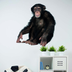 Muursticker Chimpansee Kinderkamer | Muursticker | Kids