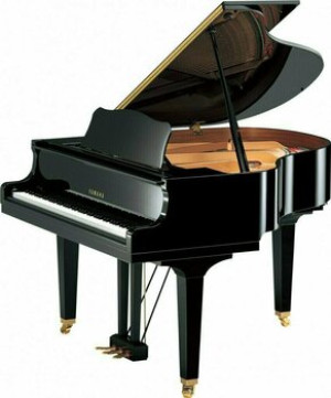 Yamaha GB1K Polished EB