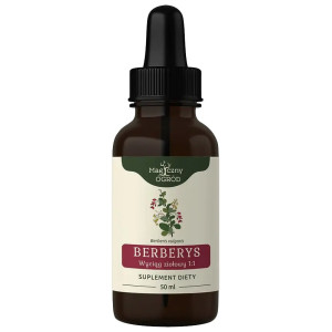 Nanga Berberys wyciąg ziołowy 1:1 50ml