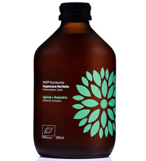 VIGO Kombucha Ogórek + Kolendra BIO 330ml