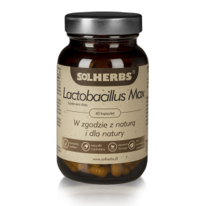 SOLHERBS Lactobacillus Max 60 kapsułek