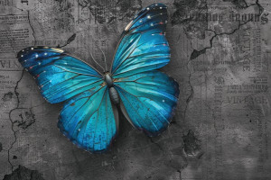 Fototapete Schmetterlinge blau, Schmetterling, dreidimensionale, graue