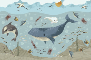 Fototapete Landschaft, nautischen, Meer, Ozean, Fische