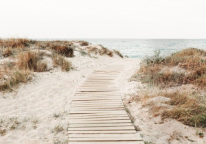 Fototapete Strand Strand, Meer, Sandstrand, Sand, Dünen