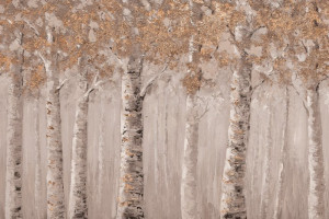 Fototapete malerische, Landschaft, birches, Baum, Birke