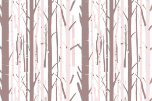 Fototapete Baum, Wald, birches, Birke, minimalistisch