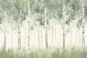 Fototapete Landschaft, Hain, Birke, birches, Baum