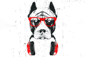 Fototapete Hunde Hund, Gläser, Kopfhörer, Tierbabys, Pop-Art