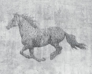 Fototapete Pferde Pferd, Pferde, Haustiere, Tierbabys, grauen Hintergr
