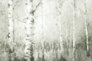 Fototapete Wald, Birke, birches, Landschaft, malerische