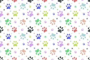 Fototapete Hunde, kleine Hunde, Hund, kleinen Hund, doggies
