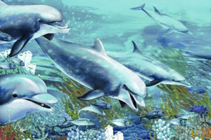 Fototapete dolphin, Delfine, Fisch, tropische Fische, Fische