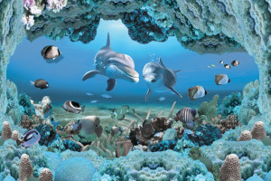 Fototapete dolphin, Delfine, Fische, Seefische, Fisch