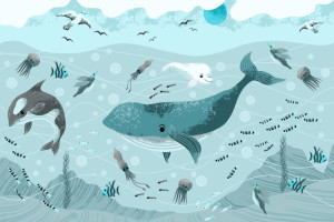 Fototapete Wal, Wale, Fische, Fisch, dolphin