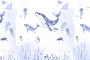 Fototapete Wal, Wale, Fisch, Fische, Quallen