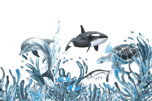 Fototapete dolphin, Delfine, cetacean, Schildkröte, Panzers