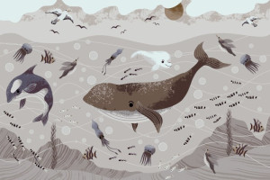 Fototapete Wal, Wale, Quallen, Fische, Seefische