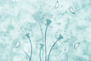 Fototapete Löwenzahn zahn~~POS=HEADCOMP, Blüte, weißen Blüten, weiße B