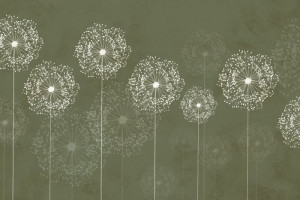 Fototapete Pusteblumen Löwenzahn zahn~~POS=HEADCOMP, Blüte, weißen Blü