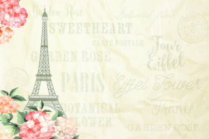 Fototapete eiffle, Eiffelturm, paris, Blüte, Pfirsich Blume