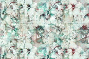 Fototapete Orchidee Blüte, weißen Blüten, weiße Blume, Pfirsich Blume,