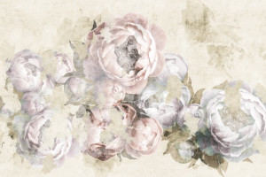 Fototapete Pfingstrosen Blüte, weißen Blüten, weiße Blume, Pfirsich Bl
