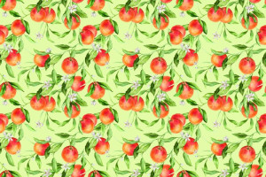 Fototapete orange Farbe, orange Blume, orange-tree, Orangen, orange Bl
