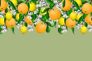 Fototapete Obst orange Farbe, orange Blume, orange-tree, Orangen, oran
