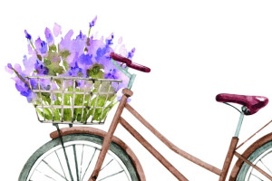 Fototapete Fahrrad, Radfahren, Fahrradreifen, Rennrad, Mountain-Bike