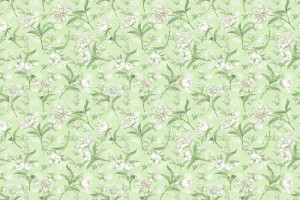 Fototapete Pfingstrosen Blüte, weißen Blüten, weiße Blume, Sträußchen,
