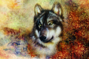 Fototapete Ornament Wolf, Wölfe, Werwolf, haustier, Tierschutz