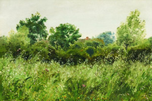 Fototapete Pflanzen Anlage, Pflanzen, Vegetation, Baum, Gras