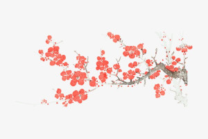 Fototapete Blüte, Sträußchen, Blumenarrangements, bunten Blumen, Wildb