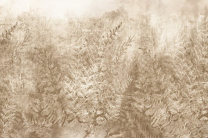 Fototapete Wiese Anlage, aromatische Pflanze, Heilpflanze, Ölpflanze,