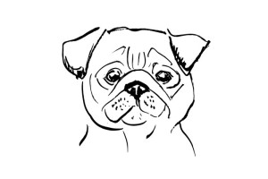 Fototapete Hunde Hund, doggies, kleinen Hund, schwarzer Hund, Skizze