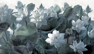 Fototapete Blumen