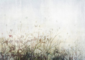 Fototapete Wiese
