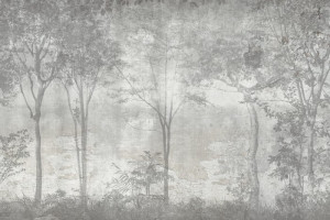 Fototapeta Las we mgle las, krajobraz, natura, drzewa, szare tło