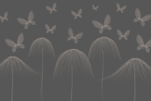 Fototapeta Motyle motyle, minimalistyczny, nowoczesny styl, elegancki