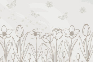 Fototapeta Motyle tulipany, kwiaty, minimalistyczny, nowoczesny styl,