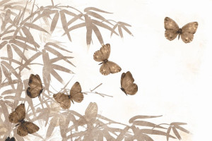 Fototapeta Bambus motyle, bambus, natura, rośliny, botaniczny
