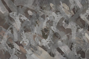 Fototapeta Motyle motyle, nowoczesny styl, nowoczesny design, szare tł