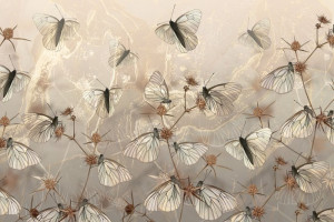 Fototapeta Motyle motyle, Zwierzęta, rośliny, botaniczny, kwiaty polne