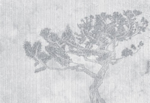 Fototapeta Jadalnia drzewo, retro, szary, szare tło, natura