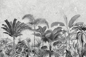 Fototapeta Tropiki tropikalny, czarno-biały, monochromatyczny, palmy,