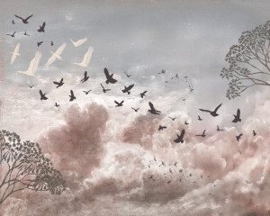Fototapeta Niebo chmury, niebo, delikatne chmury, pastelowe kolory, pt