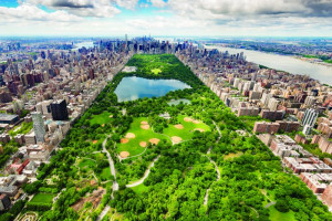 Fototapeta Park Nowy Jork, manhattan, park, zieleń, wieżowce